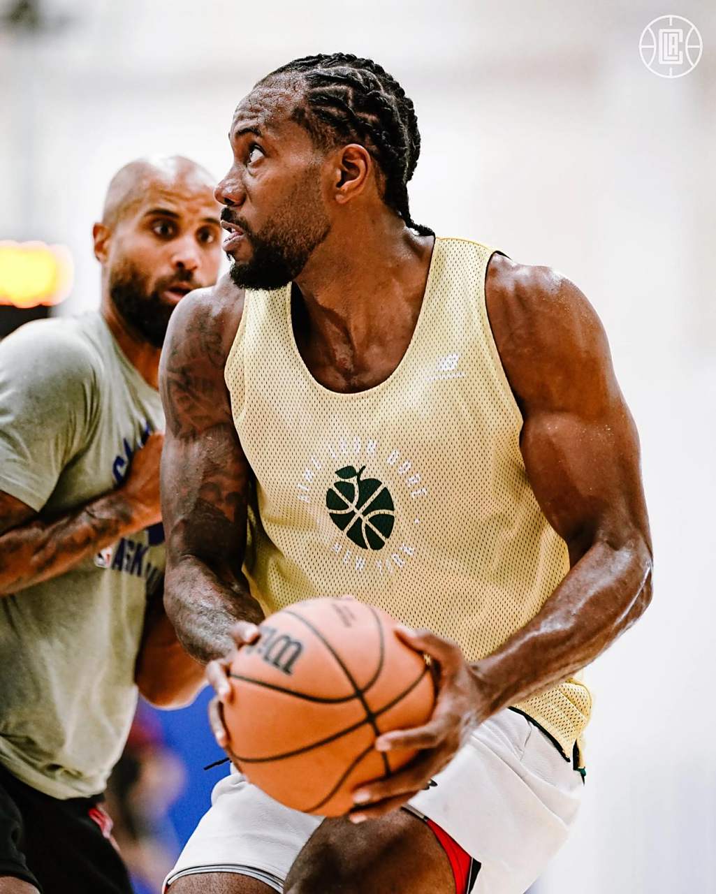 提高命中 提高命中