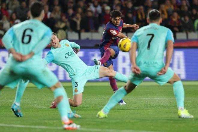 也在媒体环 也在媒体环